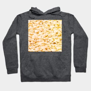 pop corn pattern Hoodie